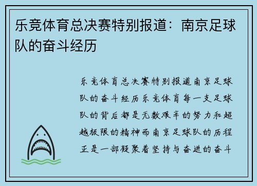 乐竞体育总决赛特别报道：南京足球队的奋斗经历