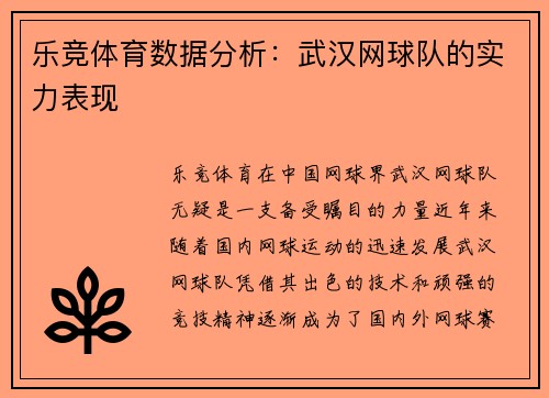 乐竞体育数据分析：武汉网球队的实力表现