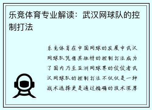 乐竞体育专业解读：武汉网球队的控制打法